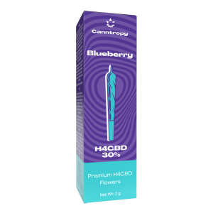 Canntropy H4CBD Prerolls Mirtillo, 30% H4CBD, 1,5 g